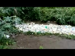 Двойные стандарты экологии: Пластиковая река в Индии и мировая политика отходов