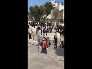 Видео ареста полицией Израиля 13-летней девочки в Иерусалиме. Ребёнка били по лицу и другим частям тела. 5 нояб 2023