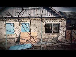 В Васильевке есть неожиданное для прифронтового города  место — реабилитационный центр для экзотических животных. Здесь побывала