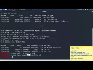 [IT-спец. Денис Курец] Как установить на флешку Kali Linux 2021 с возможностью сохранения?