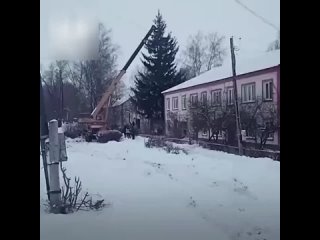 Спилили Ёлочку