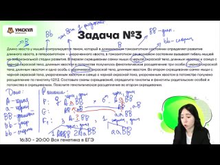 [Биология ЕГЭ Умскул] Все типы задач по генетике в ЕГЭ | Биология ЕГЭ 2022 | Умскул