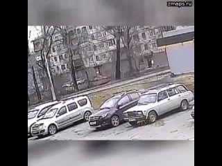 Просто ехали мимо по улице: Из-за сильного ветра в Новокузнецке дерево упало на автомобиль, в которо