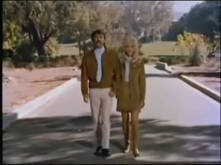 Nancy Sinatra &  Lee Hazlewood - Summer Wine  1966