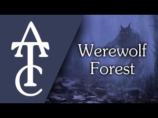 The Ambience Channel RPG | D&D Ambience - Werewolf Forest (howling wolves, creaking trees, lycanthropes)