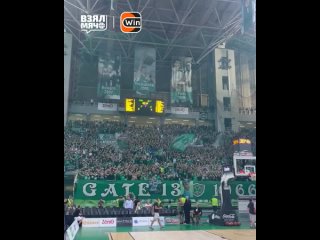 Атмосфера на баскетбольном матче в Афинах