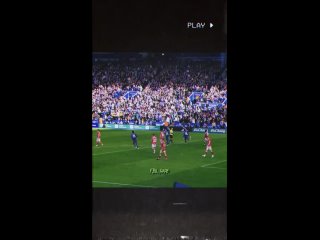 Clip by @leicestercity [-216332079_456239245].mp4
