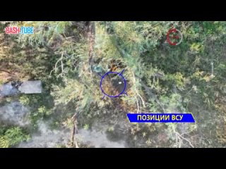 🇺🇦🇷🇺 Бои у Белогоровки: 7 бригада уничтожает врага