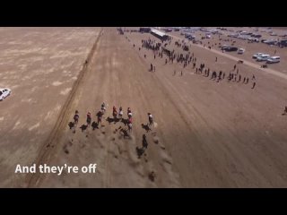 Скачки лошадей арабской породы в северной Сирии