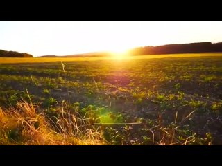 UNGLAUBLICH Chemtrails VERGIFTEN Mensch Tier u Natur! Führende Politiker wissen das! Nanotechnologie