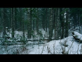 Bigfoot - terreur en Alaska S01EP02 Il sait quon est là
