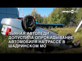 Пьяная автоледи допустила опрокидывание автомобиля на трассе в Шадринском МО. (2023-09-25)