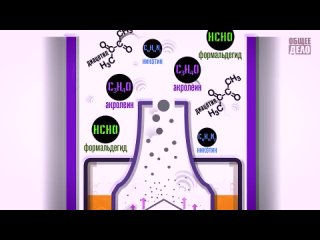 Развивающий мультфильм для детей. Скрытые вопросы - Тайна едкого дыма. Команда Познавалова