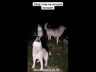 Видео от Валерия Дубровина