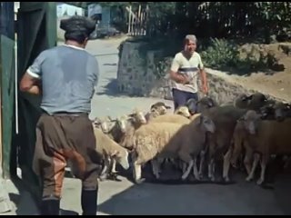 Э-ге-гей хали-гали_ Цоб-цобе_ _Кавказская пленница_ 1966 г(360P).mp4