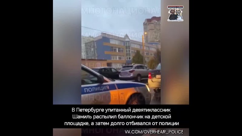 В Петербурге упитанный девятиклассник Шамиль распылил