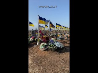 🇺🇦☠️С каждым днем по всей Украине увеличиваются массовые захоронения военнослужащих ВСУ

Такое впечатление, что Зеленский успешн