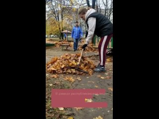 К акции «Экологическая среда», инициированной Главой ЛНР Леонидом Пасечником, присоединились и в Кировске