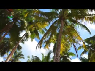 Доминиканская Республика  самая посещаемая страна Карибского бассейна
