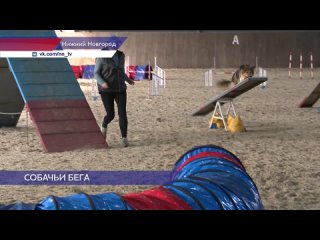 В Нижнем Новгороде прошли Всероссийские квалификационные соревнования по кинологическому спорту