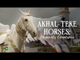 🇹🇲For Turkmens, horses are one of the main sources of national pride. 5000 years ago, this tribal people bred the Akhal-Teke. It
