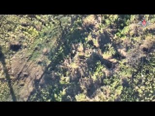 Кадры боевой работы штурмовой группы Ивановских десантников и уничтоженной бронетехники ВСУ в лесопосадках