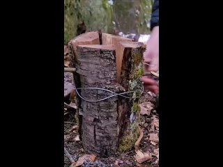 Шведский факел часто используется для обогрева, освещения или приготовления пищи на открытом воздухе. Он также может... (видео)
