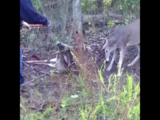 Молодец мужчина!!!!Не прошел мимо!Дай Бог здоровья ему.