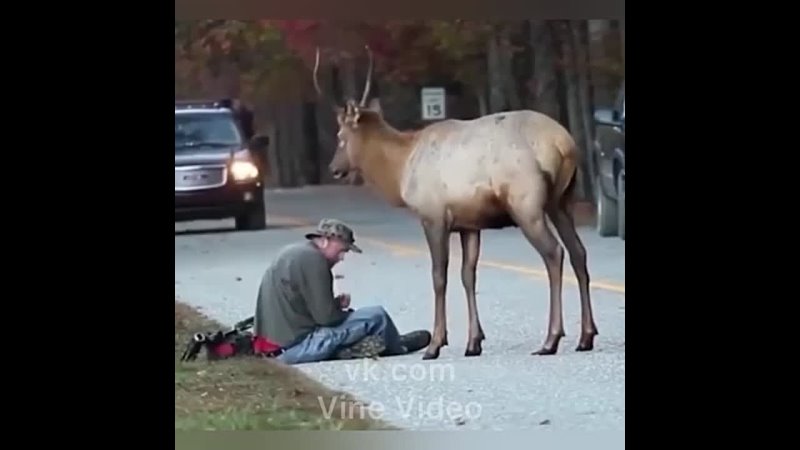 Фотограф встретил