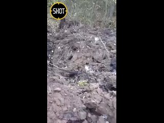 Обломки беспилотника найдены в Саратовской области: предварительно, он летел в сторону военного аэродрома в Энгельсе