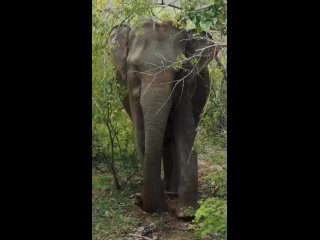 Видео от Отпуск у моря