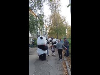 Видео от Панда в Первоуральске