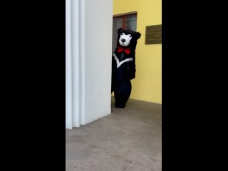Надувной костюм «Черного мишки» 2.5 метра