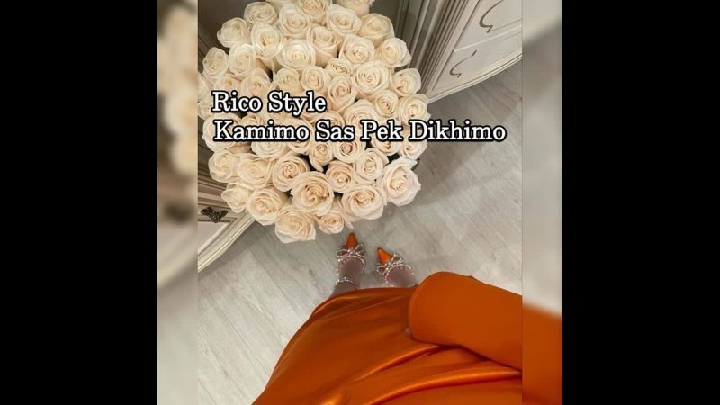 Rico Style ( Kamimo Sas