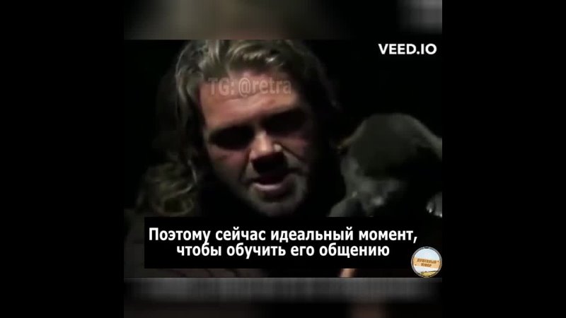 "Обучение войку: первые уроки молодого волка".