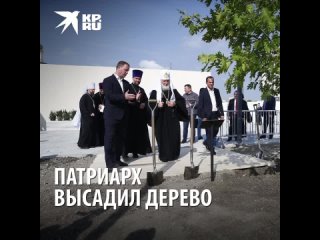 Патриарх высадил дерево