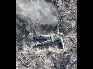Своих не бросаем: украинский ударный коптер 30-ой механизированной бригады заснял попытку эвакуации тяжелораненого бойца