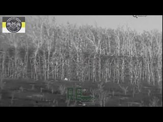 🇷🇺💪🏻 Снайпер батальона “Белые волки“ ведёт охоту на нацистов в лесах под Кременной