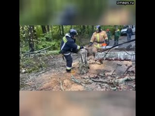 Спасатели устраняют последствия непогоды в Петербурге, где сильный ветер повалил деревья, повреждены