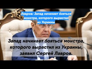 Лавров: Запад начинает бояться монстра, которого вырастил из Украины