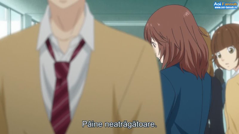 Aoi Fansub Ao Haru Ride