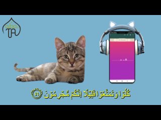 093. Animation Cute Cat Recite Juz Amma Al-Mursalat