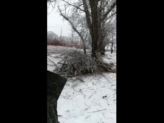 Чирка Д. А.  - депутат Снежнянского городского совета на Первомайке  обрезает деревья и очищает дороги