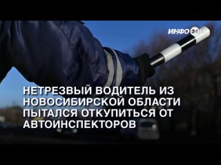 Нетрезвый водитель из Новосибирской области пытался откупиться от курганских автоинспекторов. (2023-09-27)