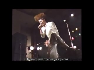 [Live] Buck-Tick - Fly High {RUS}