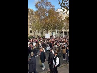 В Париже прошла антивоенная демонстрация за мир на Ближнем Востоке под белым флагом :