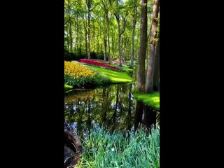 Garden of the Eden. Keukenhof Garden - Netherlands