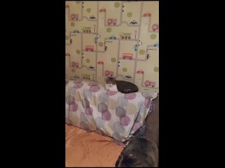 Видео от Бездомные кошки Санкт-Петербург SOS