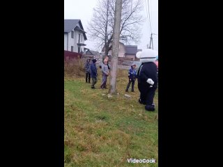 Видео от Поздравление Белый Мишка 32 Брянск