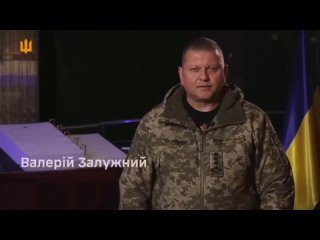 Военный преступник и командующий боевиками путчистов Залужный опасается за свою никчемную жизнь